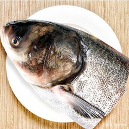 白鲢和花鲢一字之差傻傻分不清 最像的两条鱼,身价差的不止一点