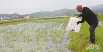 村庄净 产业旺 文化兴 吉安县里田镇实施脱贫攻坚记事