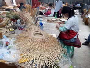 2019科考队前站队员19日行程