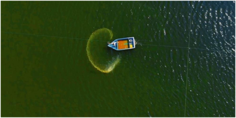 拼多多启动&ldquo;超级农货节&rdquo;:24天投入15亿资源 助力近2000农产区加速数字化