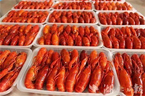 强产业提质量壮品牌,我省多措并举支持农产品出口