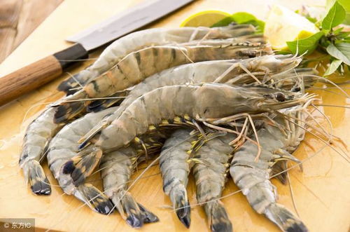 这虾广盐性 养殖周期短 个体大 营养丰富 成虾产量高