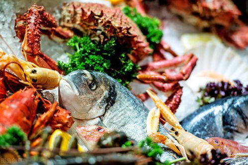 天津今年这些海鲜都嘛价