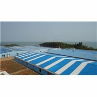 佛山虾苗批发指南 优质虾苗供应渠道与选购建议