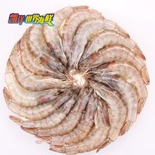 莱州南美虾苗的养殖优势与发展前景