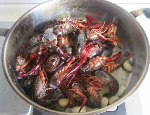 虾苗价格腰斩，养殖户心中的苦与盼