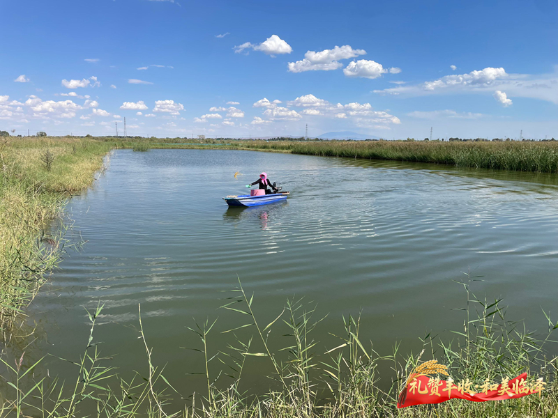 张掖市 内陆城市如何培育虾苗产业，探索绿色发展新路径